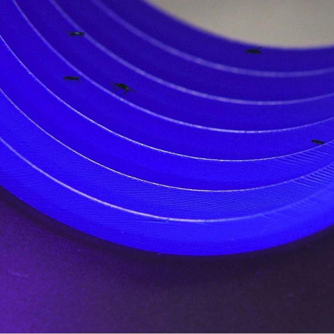 Piège à insectes électrique intelligent utilisant la lumière ultraviolette pour attirer les insectes مصيدة حشرات كهربائية ذكية تعمل بتقنية الأشعة فوق البنفسجية لجذب الحشرات