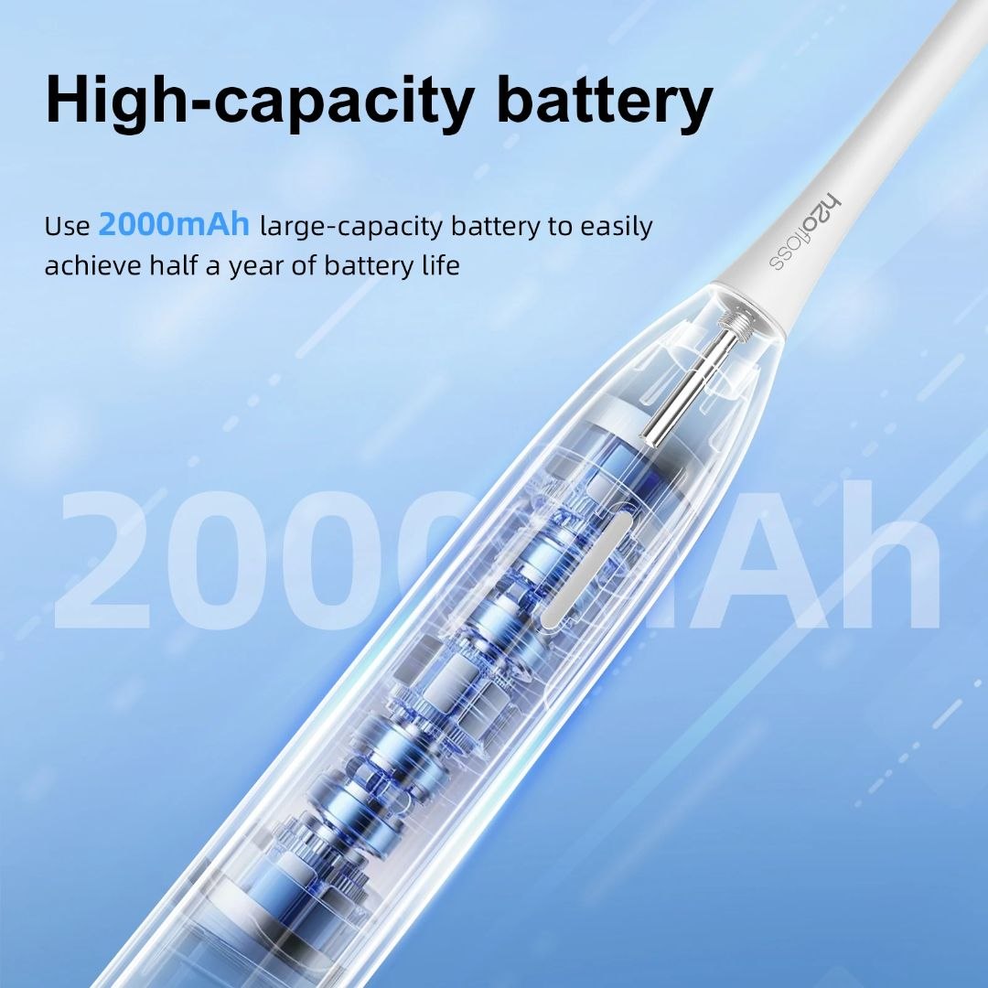 فرشاة أسنان كهربائية صوتية Brosse à Dents Électrique Sonique Pro Vitality Rechargeable USB