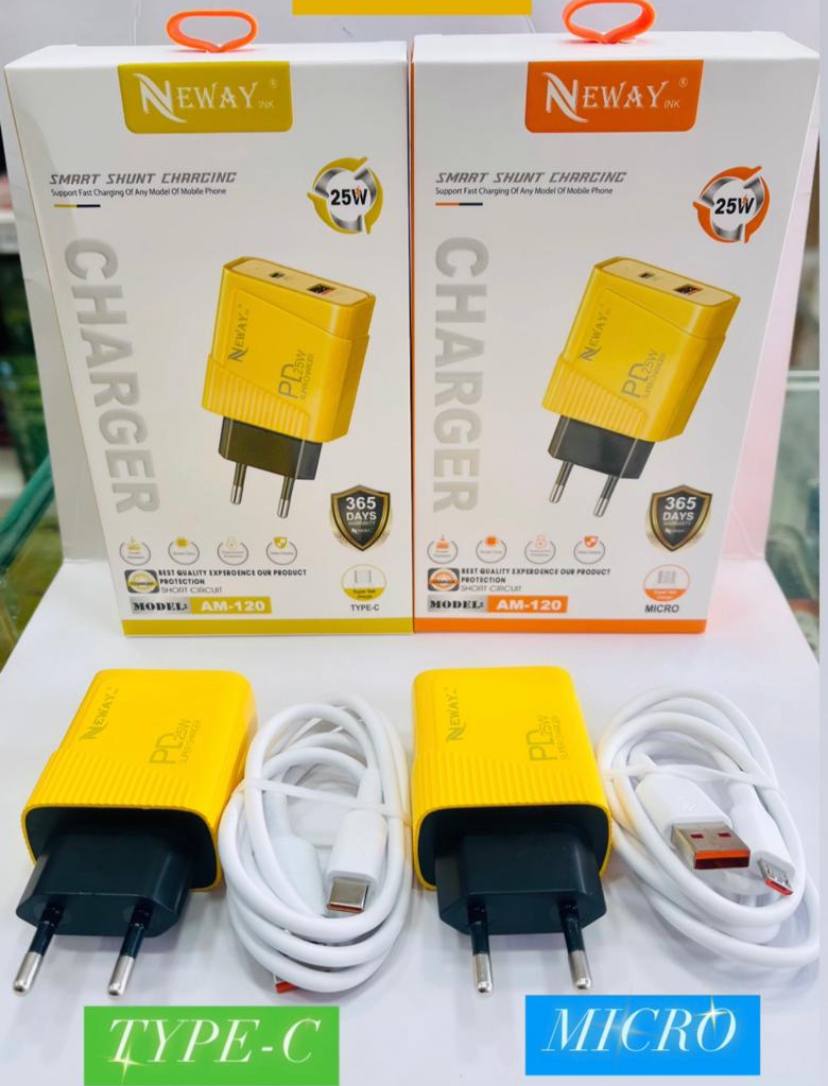 NEWAY Charger Type-C Micro AM-120