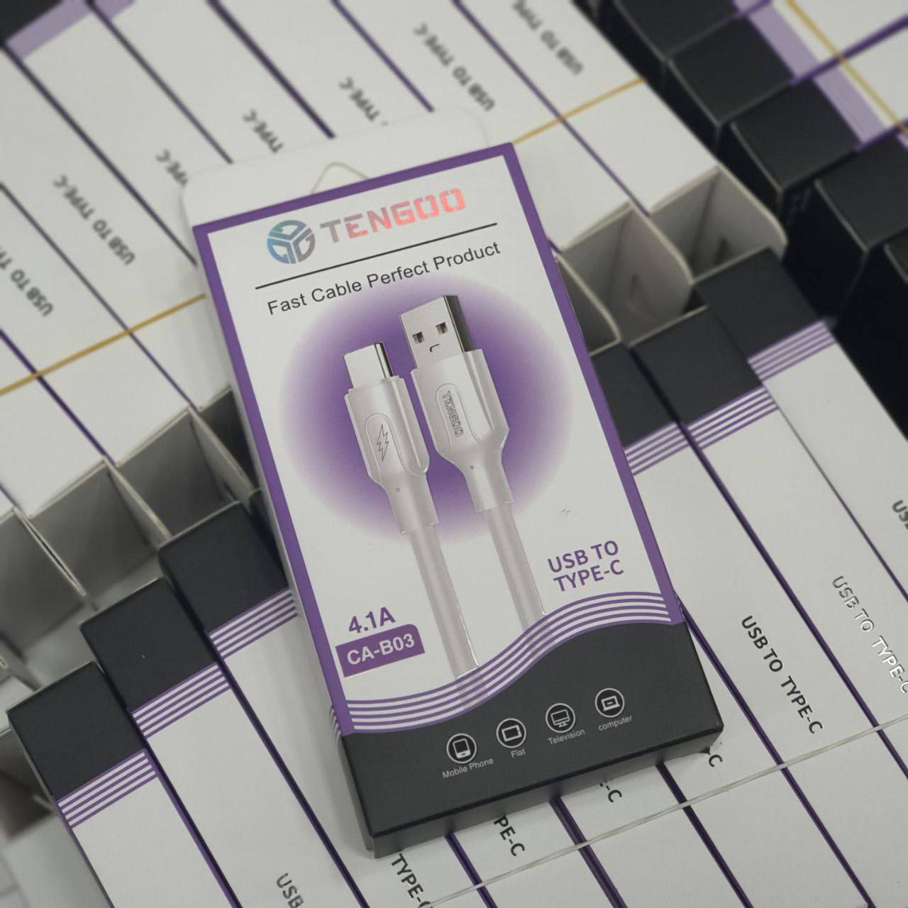 Tengoo Fast Cable USB to Type-C 4.1A CA-B03