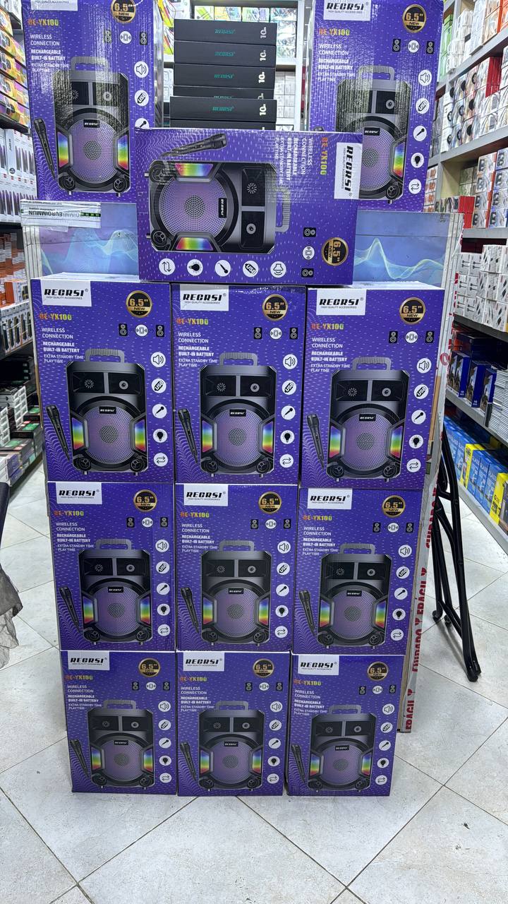 Haut parleur REGRSI Wireless YK100