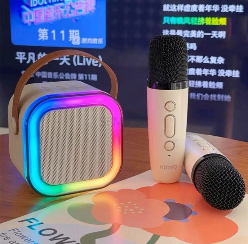 Mini Portable Karaoke
