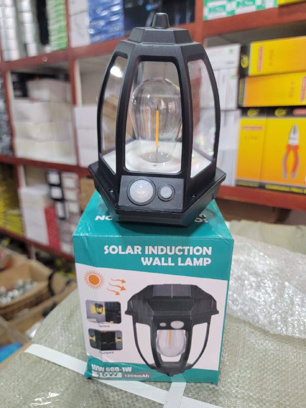 Solar induction Wall Lamp