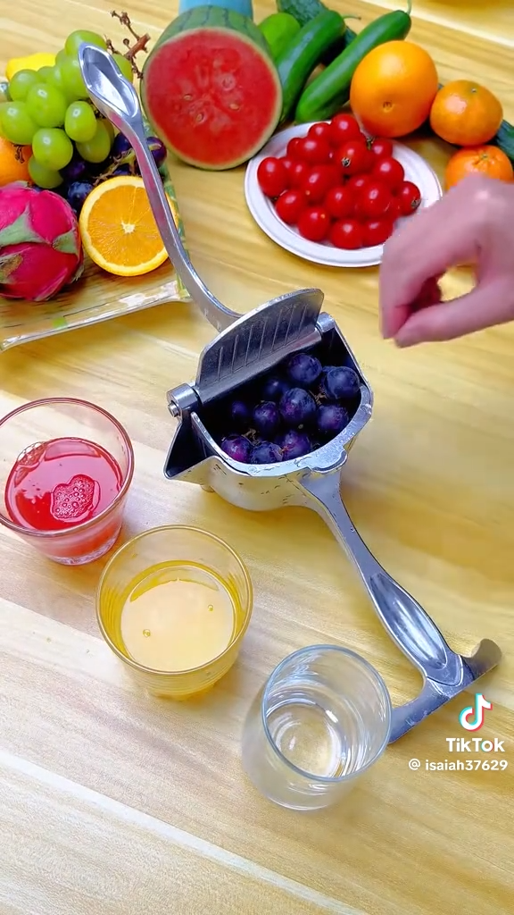 عصارة فواكه يدوية تعمل بالرافعة Presse-fruits manuel à levier