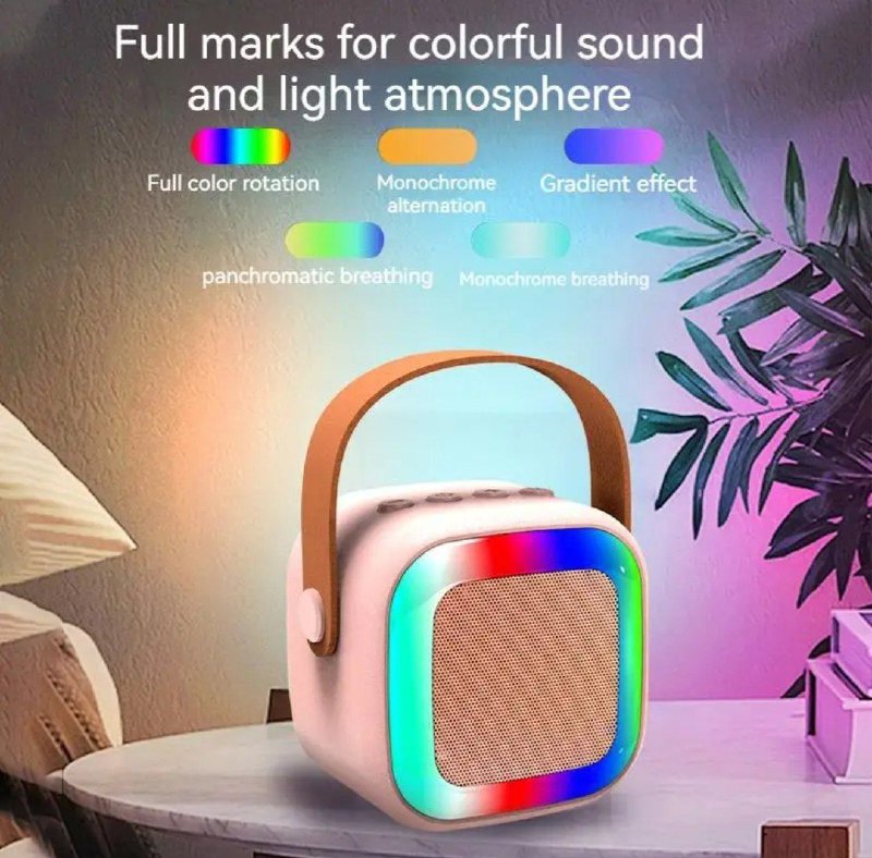 Mini Portable Karaoke