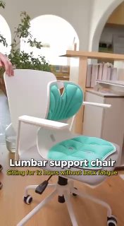 Lumbar support chair Correcteur de Posture Ergonomique pour Soulagement du Dos