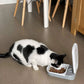 Distributeur automatique de nourriture pour chat et chien موزع طعام أوتوماتيكي للقطط والكلاب