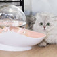 نافورة الفقاعات الأوتوماتيكية هذه للقطط fontaine automatique à bulles pour chat
