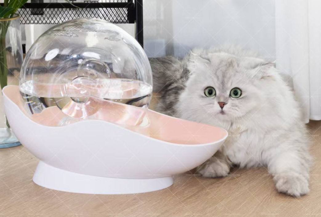 نافورة الفقاعات الأوتوماتيكية هذه للقطط fontaine automatique à bulles pour chat