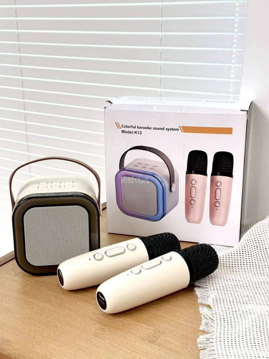 KARAOKE sound system 2Micro