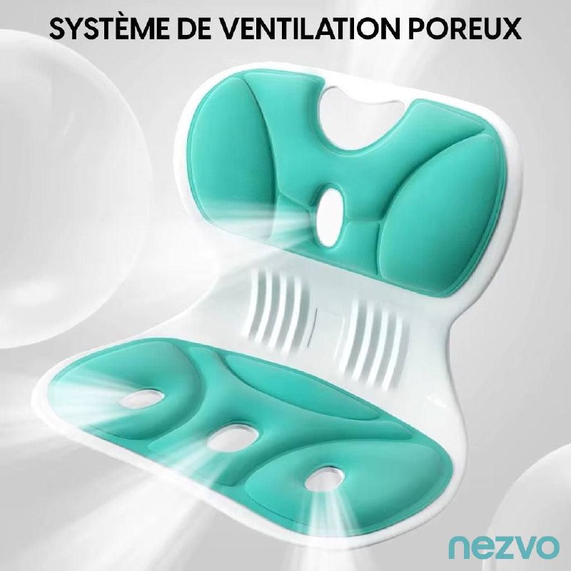 Lumbar support chair Correcteur de Posture Ergonomique pour Soulagement du Dos