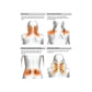 مدلك الكتف والرقبة Shoulder and neck massager Masseur pour les épaules et la nuque