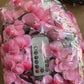 أضواء على شكل أزهار الكرز مع ثمانية أوضاع إضاءة LED Cherry Blossom Lights