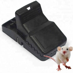 Piège à souris et rat réutilisable et efficace مصيدة فئران وجرذان قابلة لإعادة الاستخدام