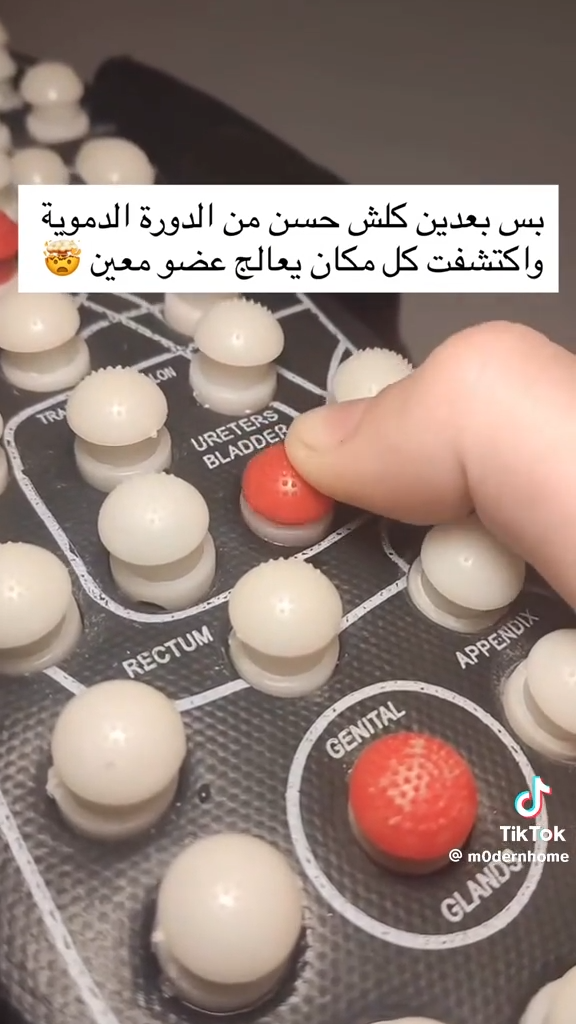 خف تدليك القدمين بالضغط الإبري Chaussons de massage par acupression et réflexologie plantaire pour hommes et femmes