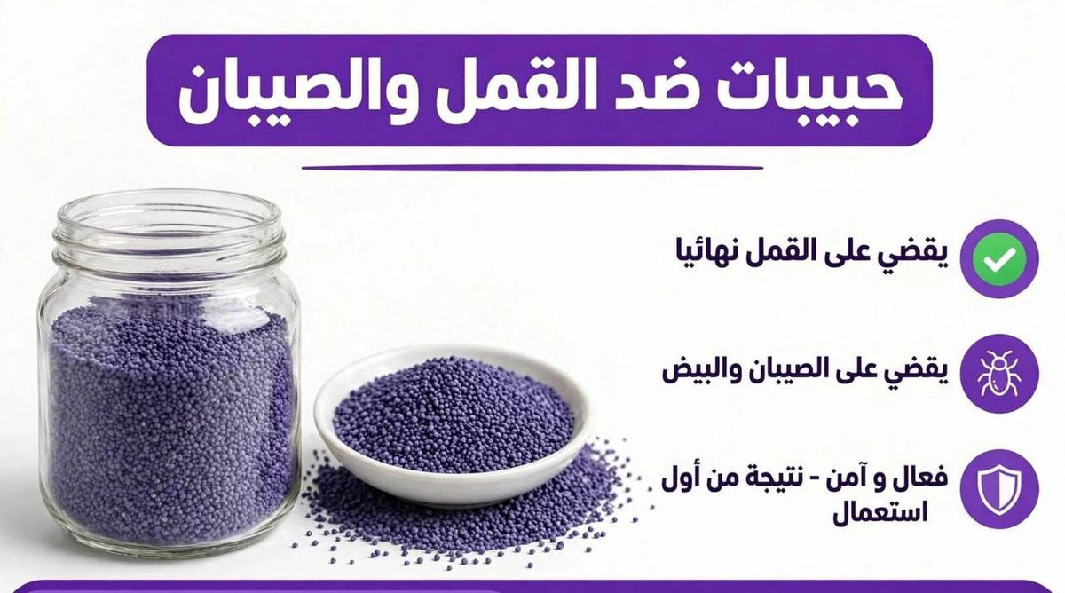 حبيبات بنفسجية للقضاء على القمل والصيبان Graines ou billes violettes contre les poux et les lentes