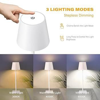 LED Lamp مصابيح طاولة لاسلكية قابلة لإعادة الشحن عبر USB