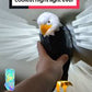 Eagle Wall light