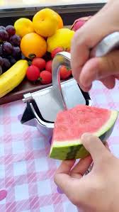 عصارة فواكه يدوية تعمل بالرافعة Presse-fruits manuel à levier