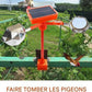 Répulsif oiseaux solaire طارد الطيور الشمسي