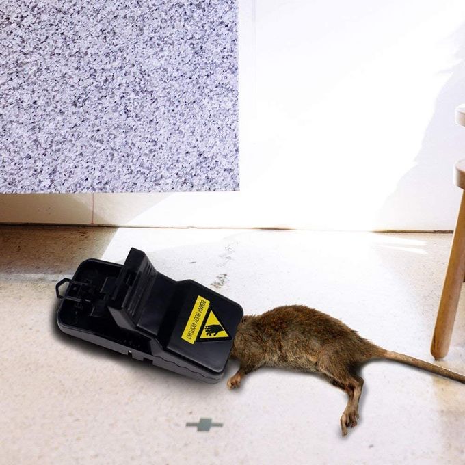 مصيدة الفئران Souricière Piège à Souris