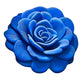 سجادة أنيقة بتصميم زهور لغرفة النوم والحمام وغرفة المعيشة Tapis de sol en boue de diatomée imprimé Floral 3D