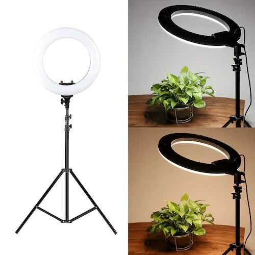 Ring Light Led LJJ-36