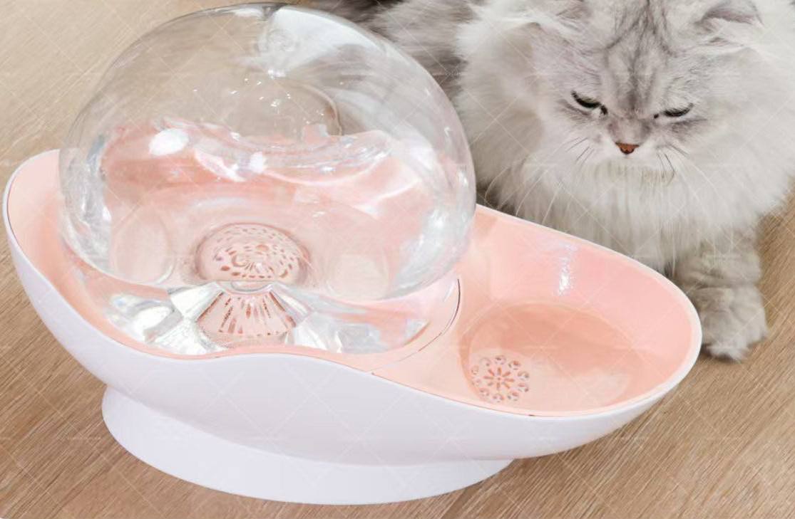 نافورة الفقاعات الأوتوماتيكية هذه للقطط fontaine automatique à bulles pour chat