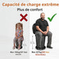 مرحاض تخييم قابل للطي ومحمول مع حقيبة Toilette de camping pliante et portable avec sac