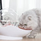 نافورة الفقاعات الأوتوماتيكية هذه للقطط fontaine automatique à bulles pour chat