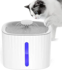 Pet Water Fountain Fontaine pour animaux domestiques