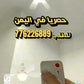 مروحة السقف Ventilateur de plafond 40W