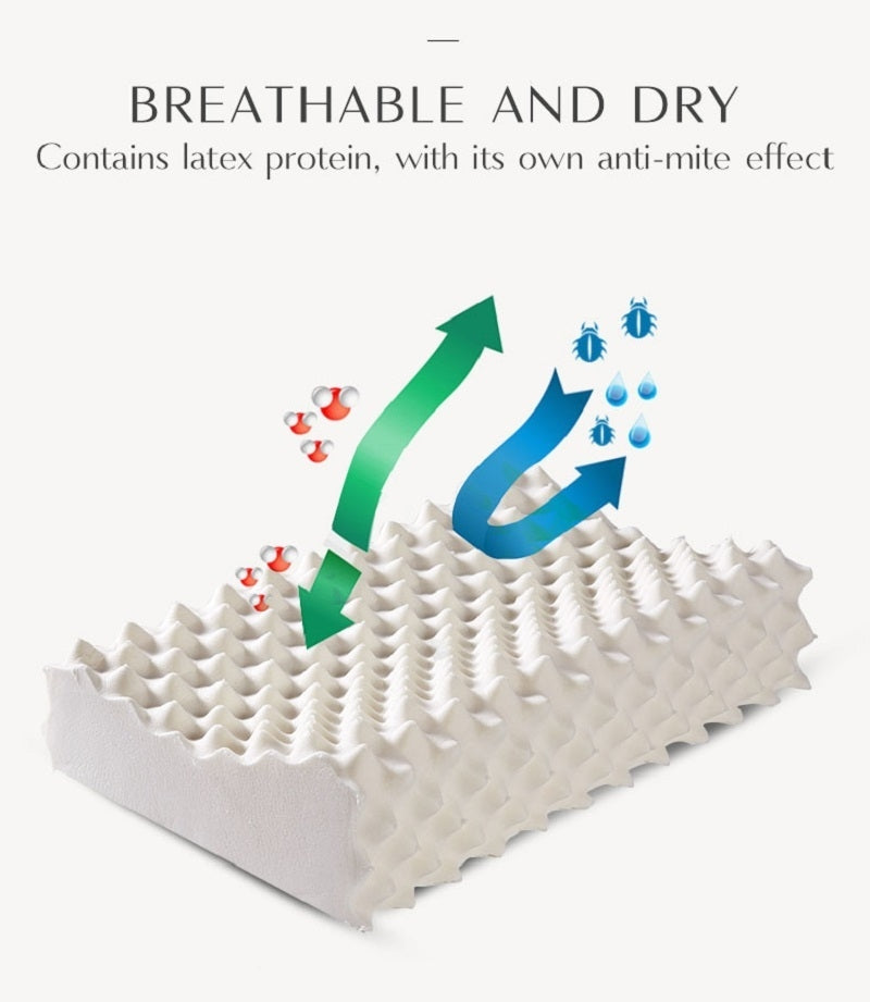 Oreiller Cervical Ergonomique en Latex Naturel وسادة عنق مريحة من لاتكس الطبيعي