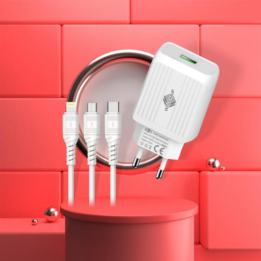 Chargeur mural double USB 2,4 A OCD-02