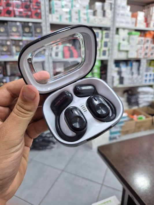 Earbuds T-15