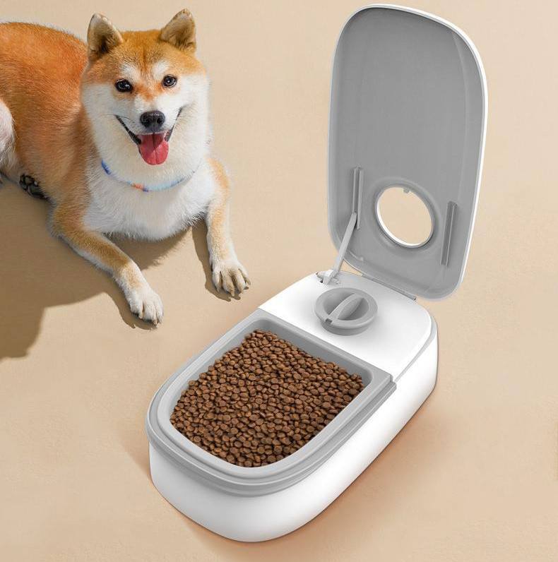 Distributeur automatique de nourriture pour chat et chien موزع طعام أوتوماتيكي للقطط والكلاب