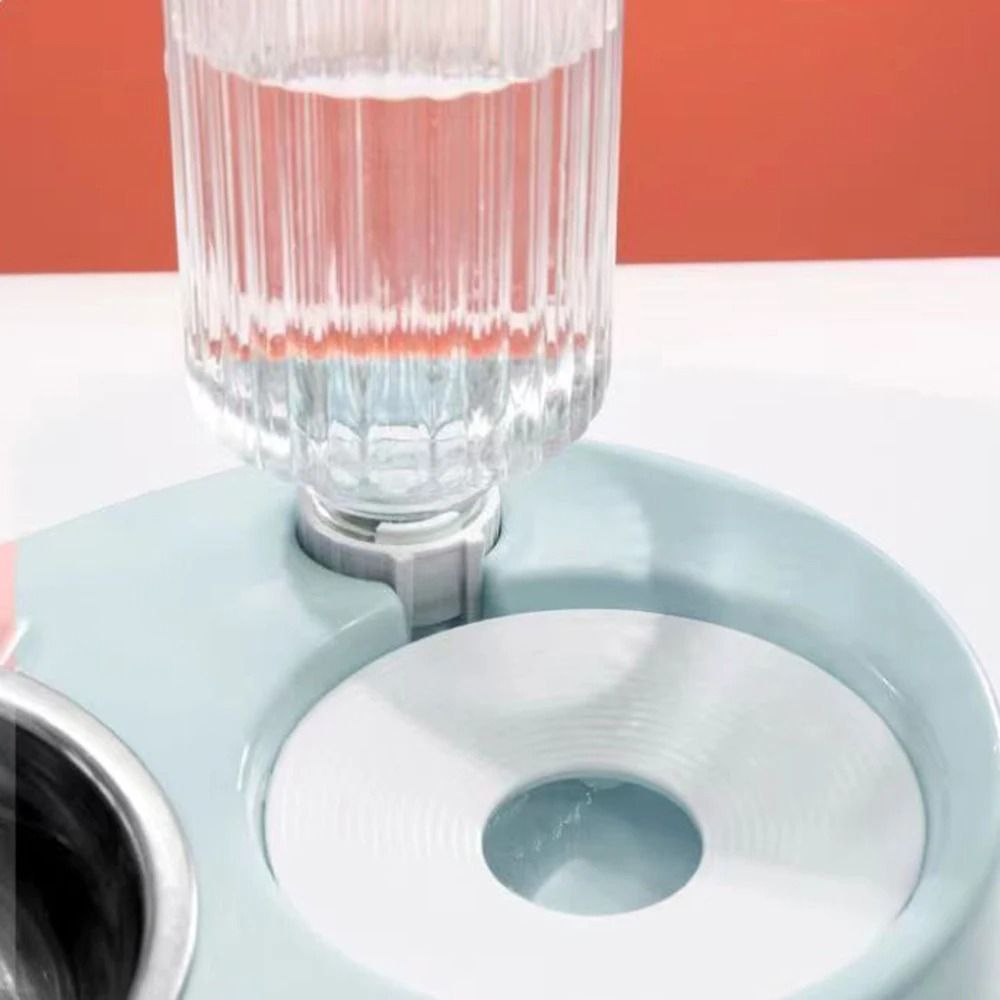 Ensemble de Distributeur d’Eau et de Nourriture Facile à Recharger pour Chats مجموعة موزع طعام وماء للقطط