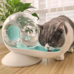 نافورة الفقاعات الأوتوماتيكية هذه للقطط fontaine automatique à bulles pour chat