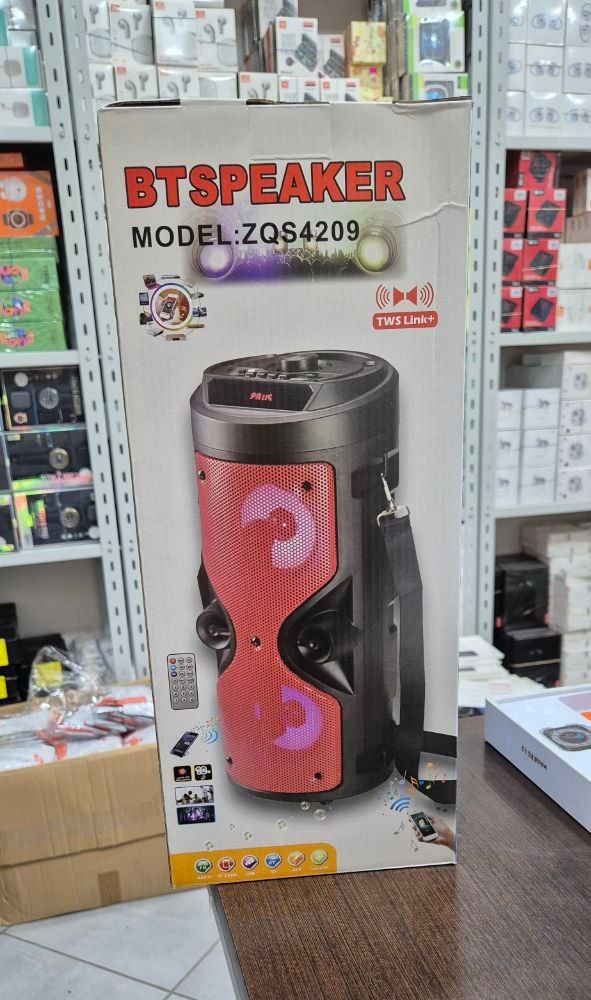 BTSPEAKER Model ZQS4209