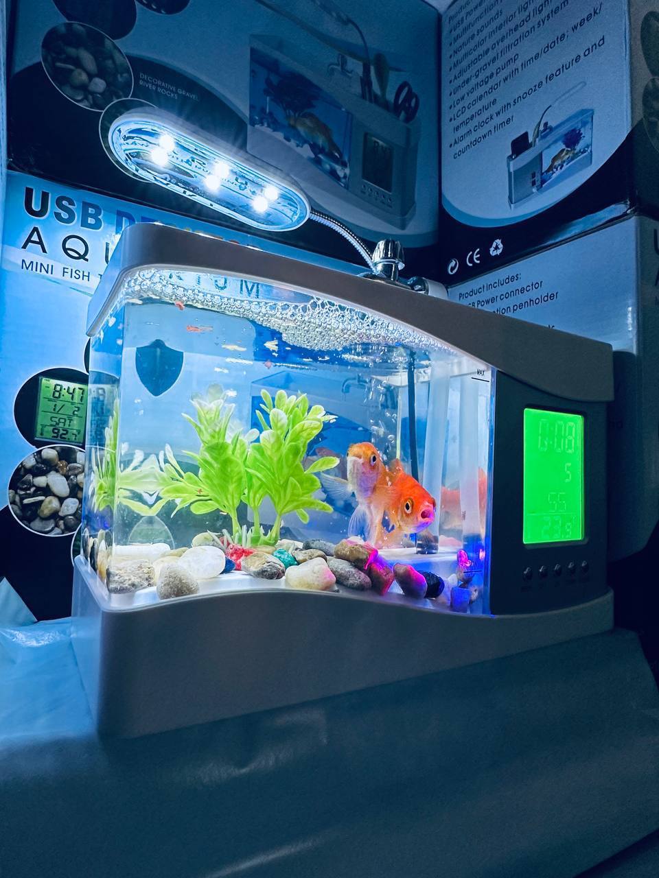 حوض أسماك صغير Mini aquarium de bureau de type nano