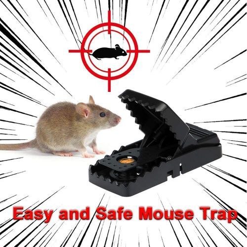 مصيدة الفئران Souricière Piège à Souris